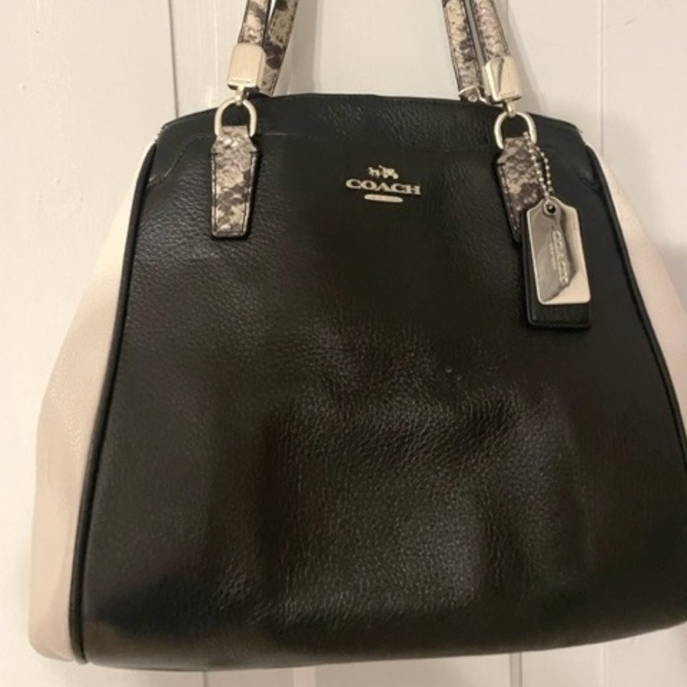 Coach Satchel (Snakeskin)